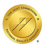 Northern Light Medical Management Logo